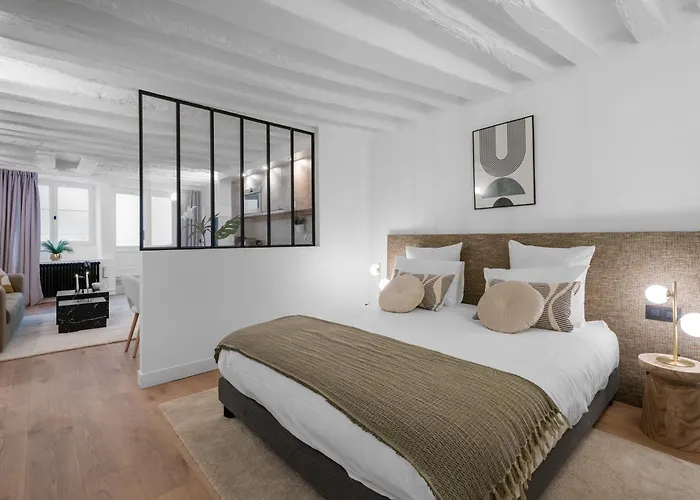 Gem 9 Min Walk To Notre-dame And Louvre 파리