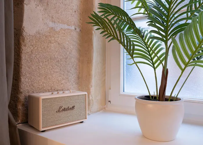 Gem 9 Min Walk To Notre-dame And Louvre *